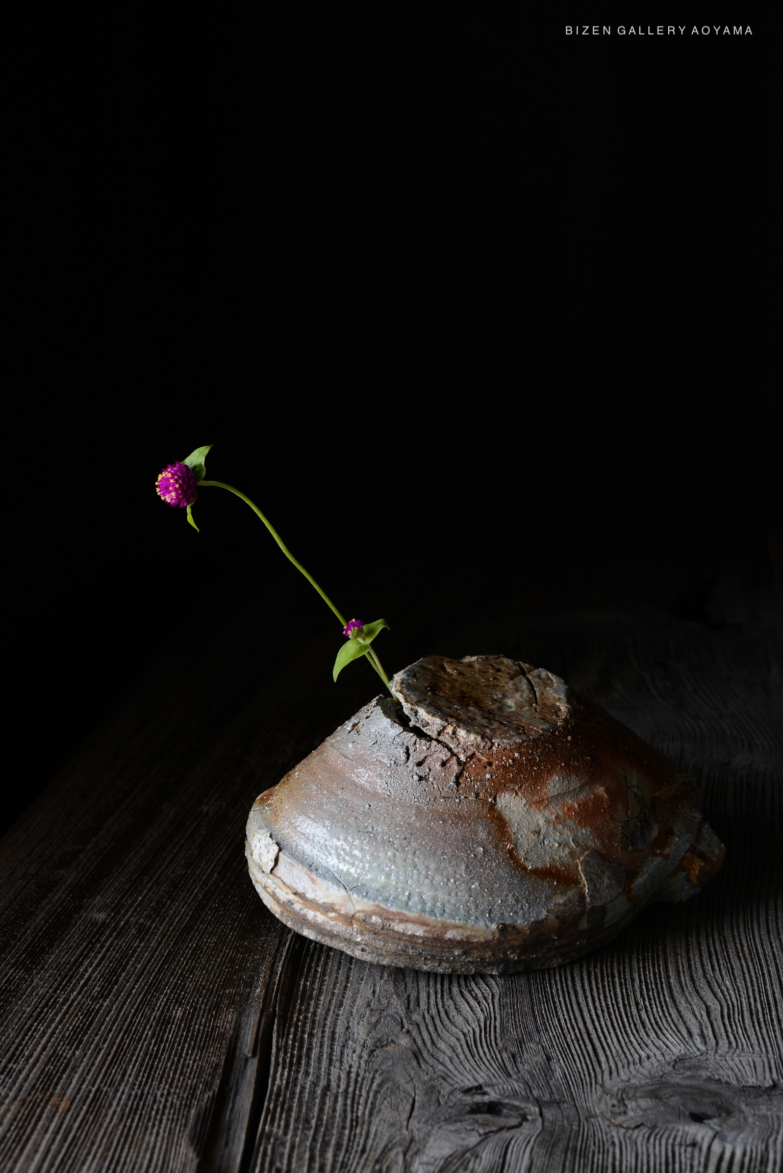 黒い背景に置かれた陶器の花瓶から、紫色の花とその茎が伸びている様子