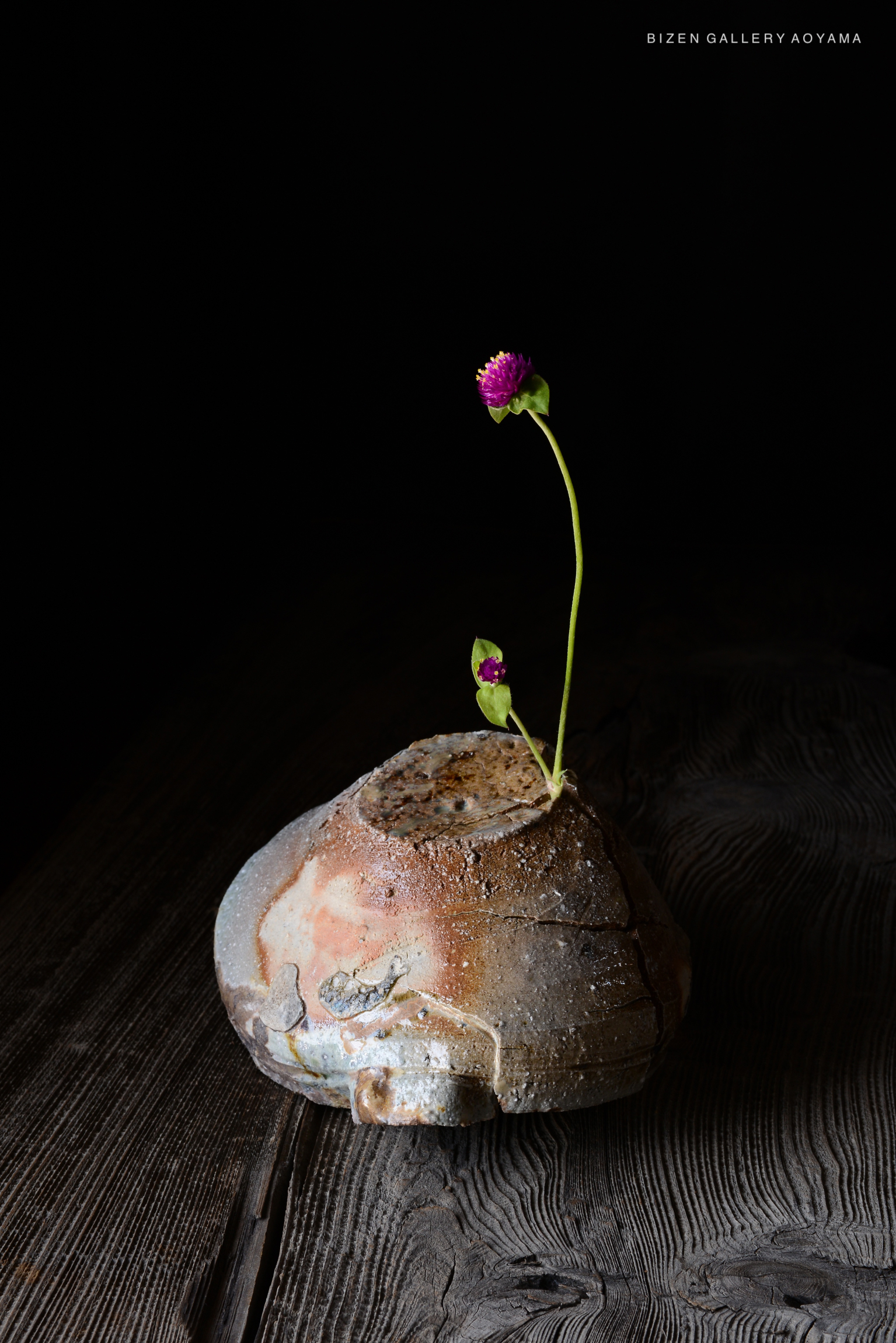 暗い背景に置かれた陶器の花瓶の中に、ピンクの花が一本立っている