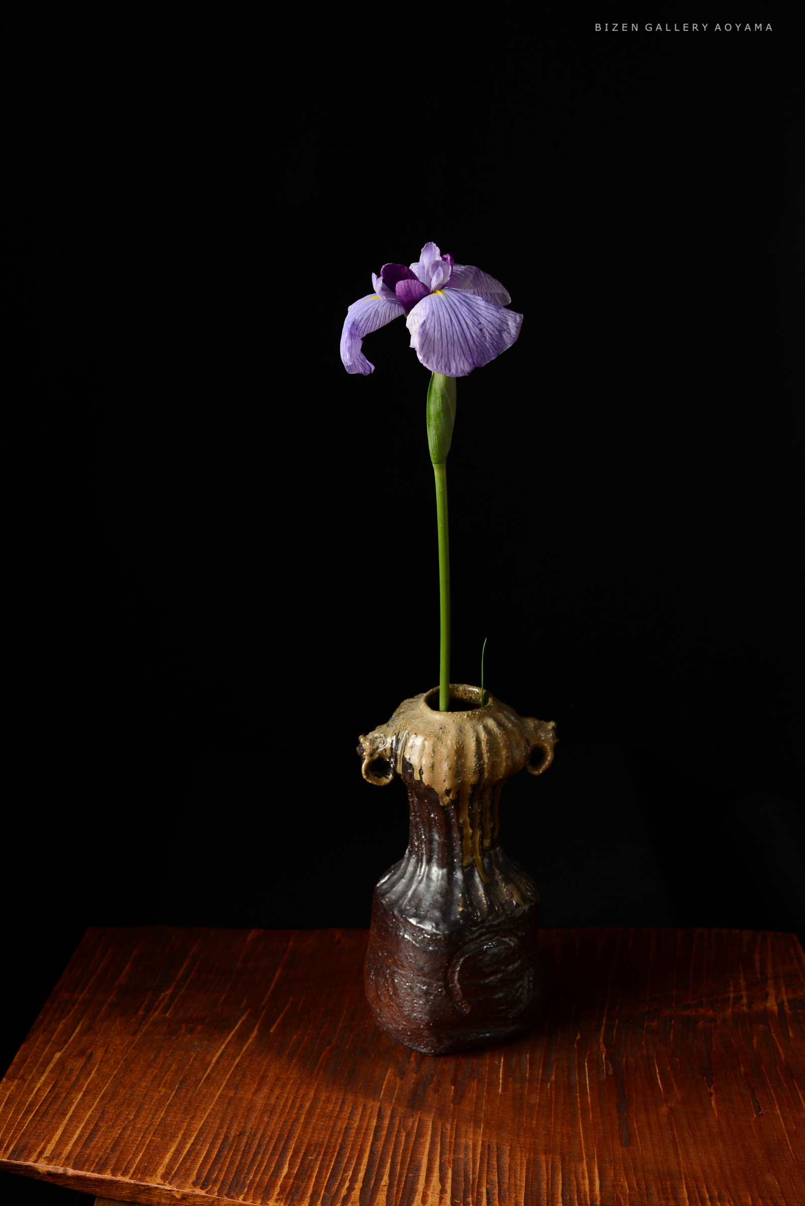 黒い背景に浮かぶ紫色の花と陶器の花瓶